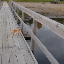 Norrstrand Beach - Piteå