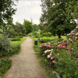 Piteå City Park (Stadsparken) - Piteå