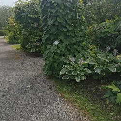 Piteå City Park (Stadsparken) - Piteå