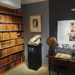 Piteå Museum - Piteå