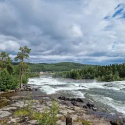 Storforsen Nature Reserve - Piteå