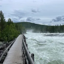Storforsen Nature Reserve - Piteå