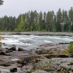 Storforsen Nature Reserve - Piteå