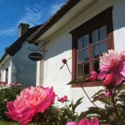 Gysinge Bruk - Sandviken