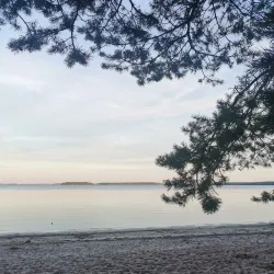 Västanbyn Outdoor Area - Sandviken