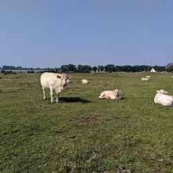 Baltic Sea Coastline - Simrishamn