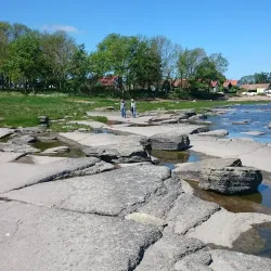 Baltic Sea Coastline - Simrishamn