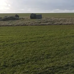 Baltic Sea Coastline - Simrishamn