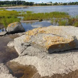 Baltic Sea Coastline - Simrishamn