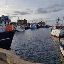 Simrishamn Harbor - Simrishamn
