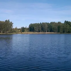 Skillinge Harbor - Simrishamn