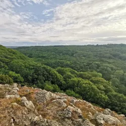 Stenshuvud National Park - Simrishamn