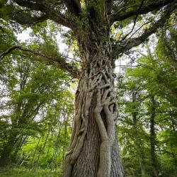 Stenshuvud National Park - Simrishamn