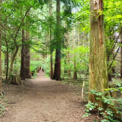 Stenshuvud National Park - Simrishamn