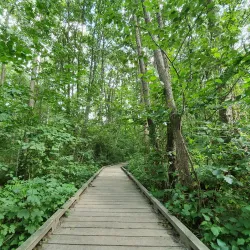 Stenshuvud National Park - Simrishamn