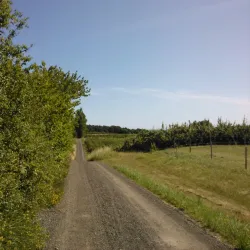 Rörum Village - Sjöbo (Sjobo)