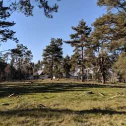 Sjöbo Golf Club - Sjöbo (Sjobo)