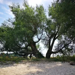 Vombsjön Lake - Sjöbo (Sjobo)