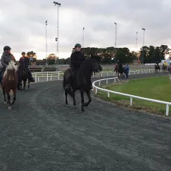 Axevalla Horse Racing Track - Skara