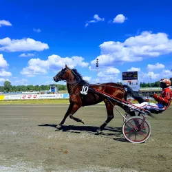 Axevalla Horse Racing Track - Skara