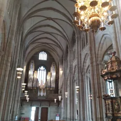 Skara Cathedral (Skara domkyrka) - Skara