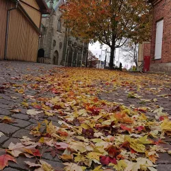 Skara City Library - Skara