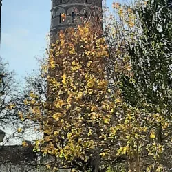 Skara Old Town - Skara