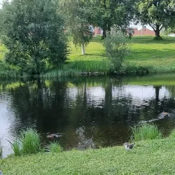 Nordanå Cultural Area - Skelleftea