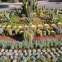 Skellefteå City Park - Skelleftea