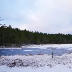 Vitberget Recreation Area - Skelleftea