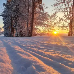 Vitberget Recreation Area - Skelleftea