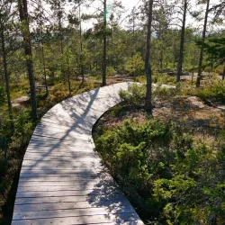 Vitberget Recreation Area - Skelleftea