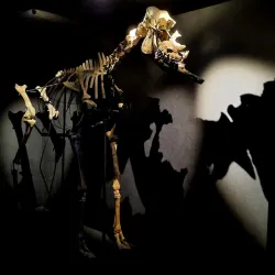 Västerbotten County Museum - Skelleftea