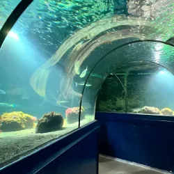 Havets Hus - Sölvesborg