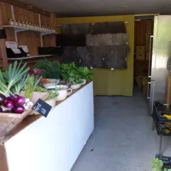 Local Farms and Markets - Sollebrunn