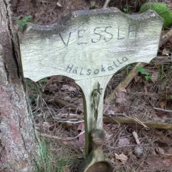 Sollebrunn Nature Trails - Sollebrunn