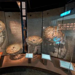 Västra Götaland Regional Museum - Sollebrunn