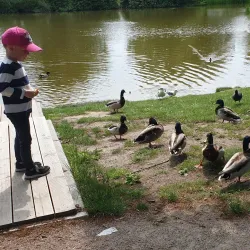 Staffanstorp Community Park - Staffanstorp
