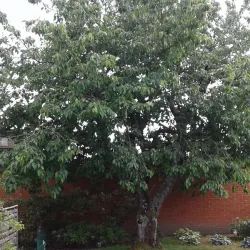 Staffanstorp Community Park - Staffanstorp