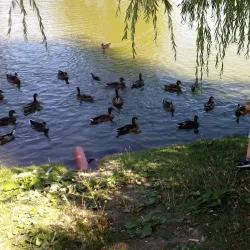 Staffanstorp Community Park - Staffanstorp