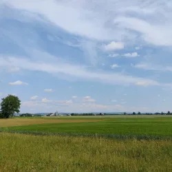 Staffanstorp Museum - Staffanstorp