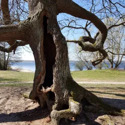 Vombsjön Lake - Staffanstorp
