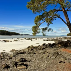 Gåsvikens Naturreservat - Östersund