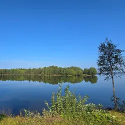 Gåsvikens Naturreservat - Östersund