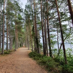 Gåsvikens Naturreservat - Östersund