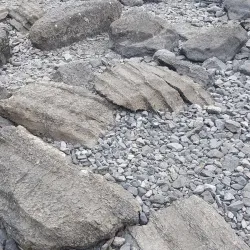 Gåsvikens Naturreservat - Östersund