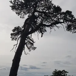 Storsjön Lake - Östersund