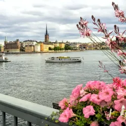Gamla Stan (Old Town) - Stockholm