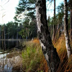 Hiking Trails around Storfors - Storfors