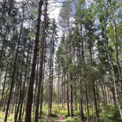 Hiking Trails around Storfors - Storfors